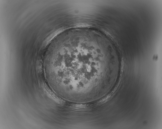 X0000115021401200911091432