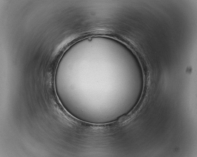 X0000115021402200911091432