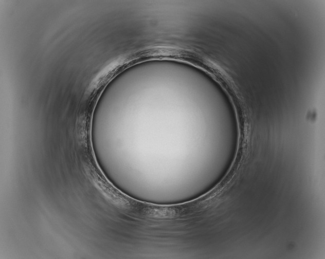 X0000115021403200911091432