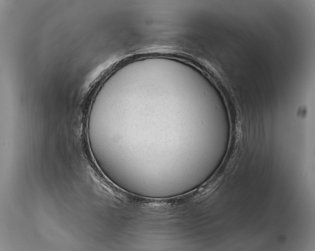 X0000115021406200911091432