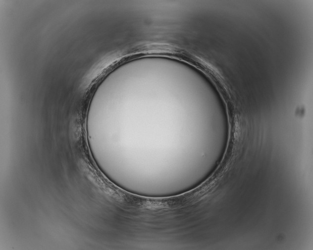 X0000115021407200911091432