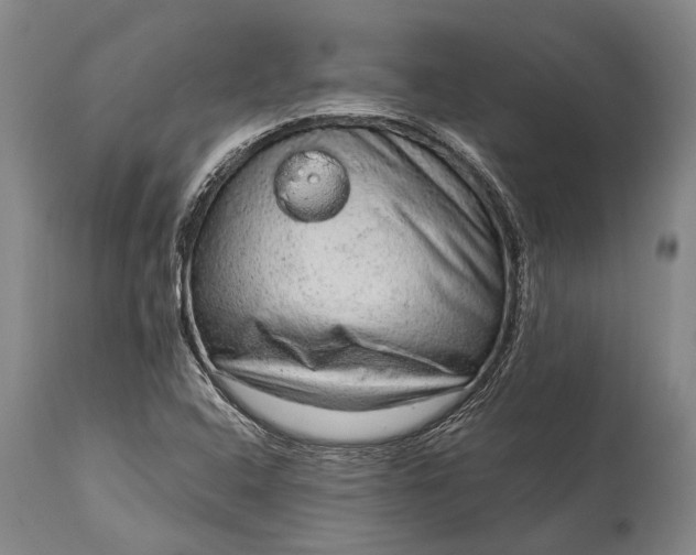 X0000115021408200911091432