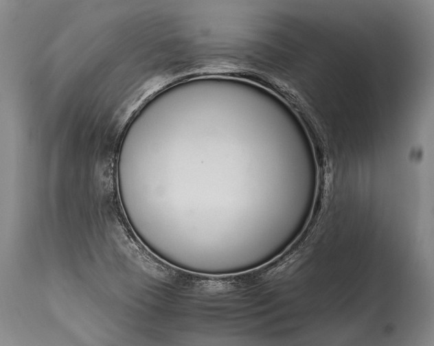 X0000115021409200911091432