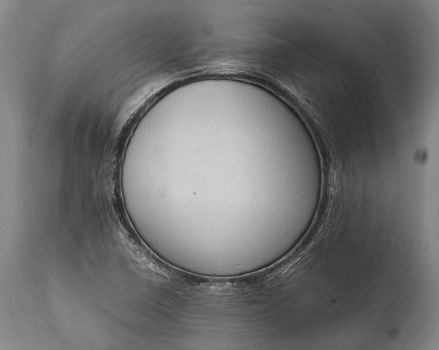 X0000115021410200911091432