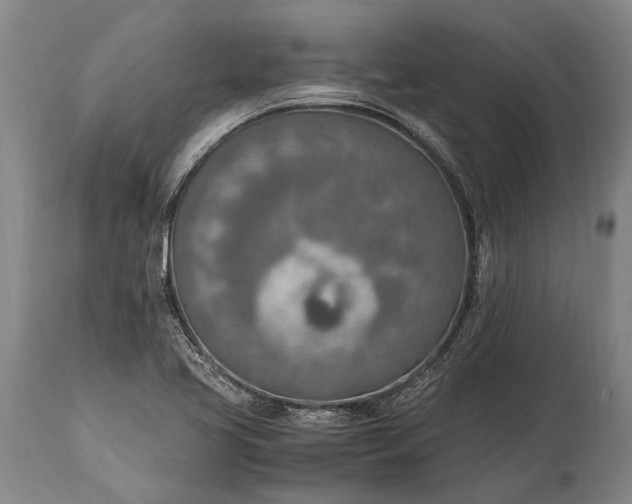 X0000115021413200911091432