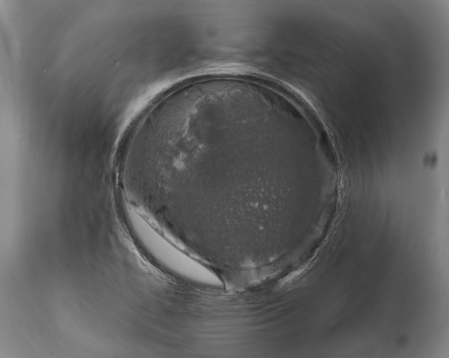 X0000115021414200911091432