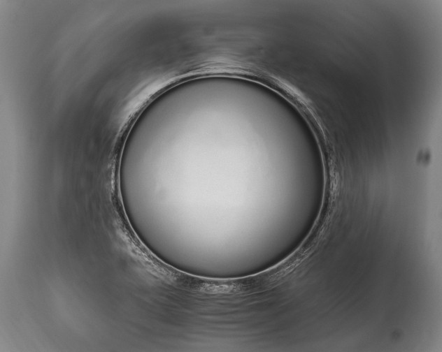 X0000115021415200911091432