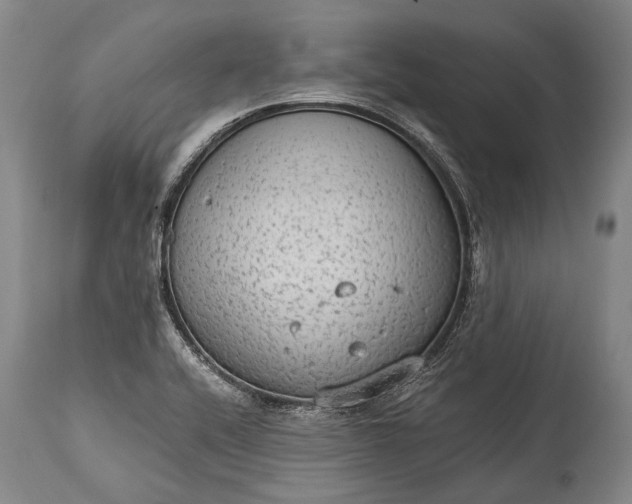 X0000115021416200911091432