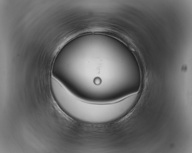 X0000115021417200911091432