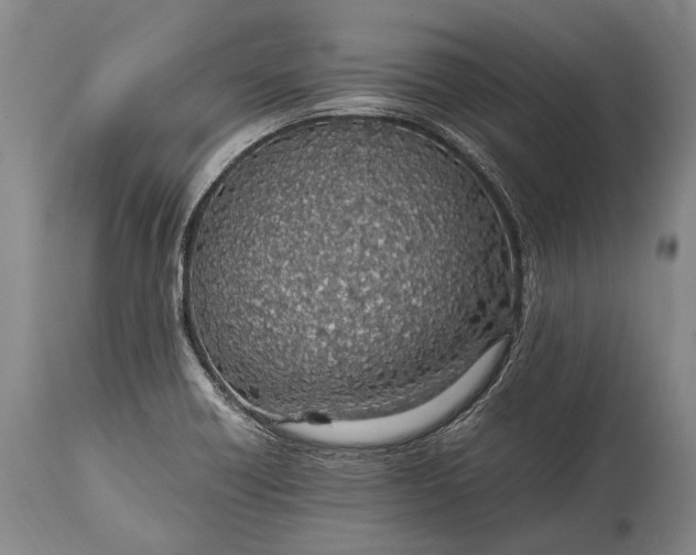 X0000115021418200911091432