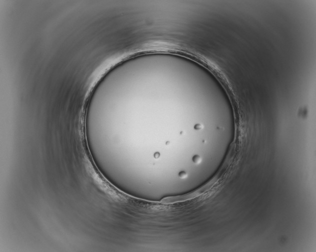 X0000115021421200911091432