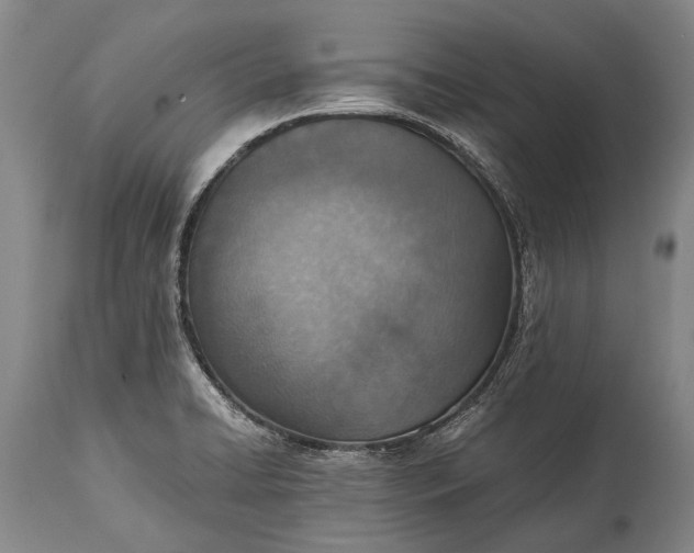 X0000115021422200911091432