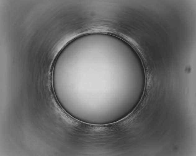 X0000115021423200911091432