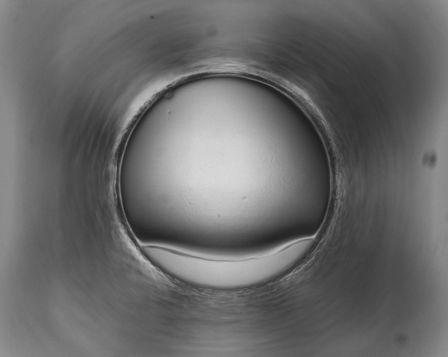 X0000115021424200911091433