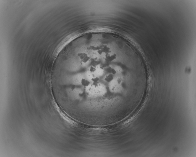X0000115021425200911091433