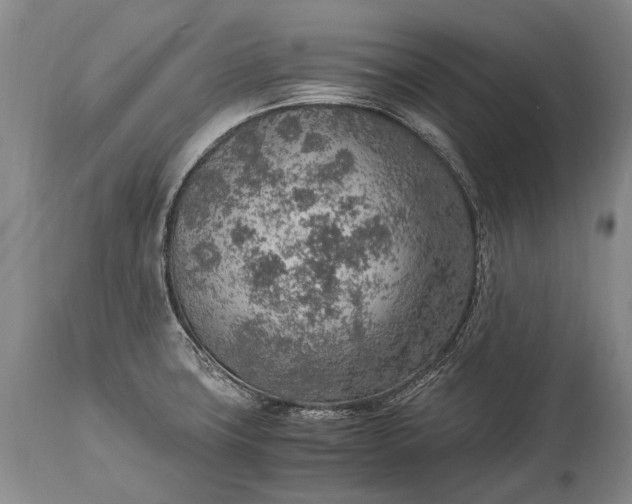 X0000115021427200911091433