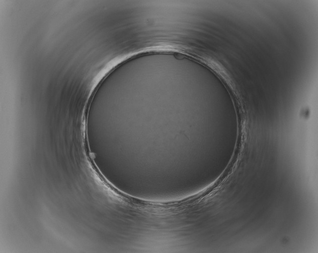 X0000115021428200911091433