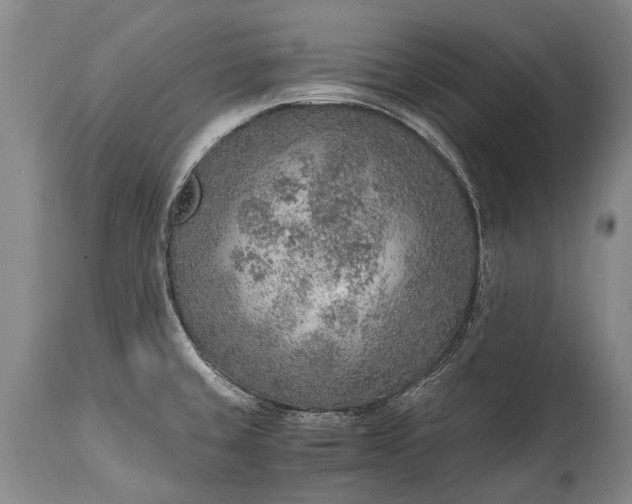 X0000115021429200911091433