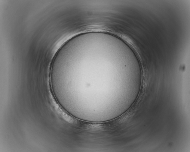 X0000115021431200911091433
