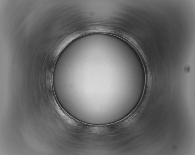 X0000115021433200911091433