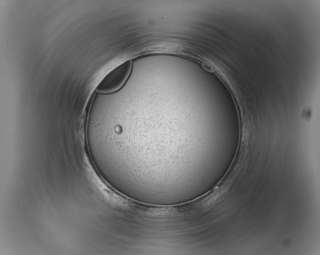 X0000115021434200911091433