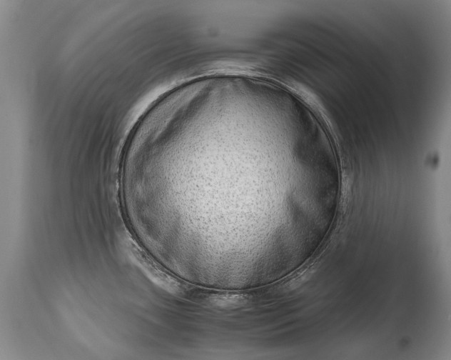 X0000115021435200911091433
