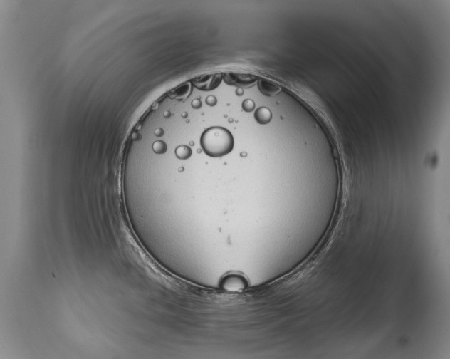 X0000115021436200911091433