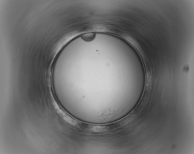 X0000115021439200911091433