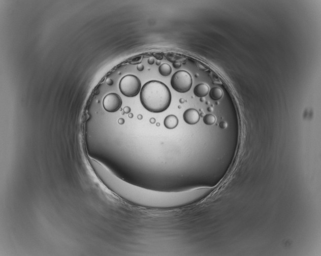 X0000115021440200911091433