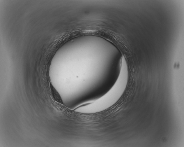 X0000115021441200911091432