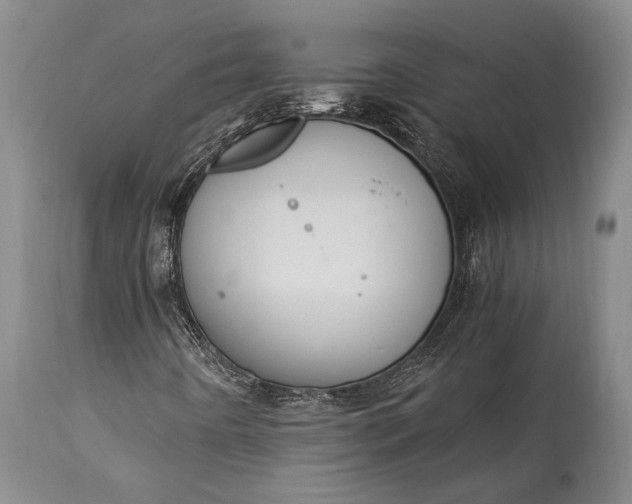 X0000115021442200911091432