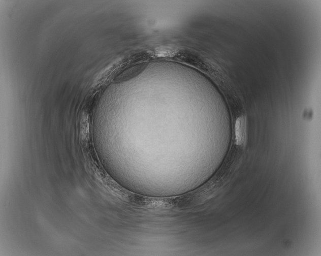 X0000115021443200911091432
