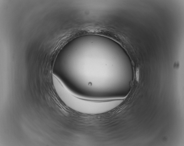 X0000115021444200911091432