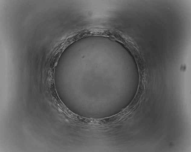 X0000115021445200911091432