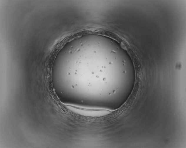 X0000115021447200911091432
