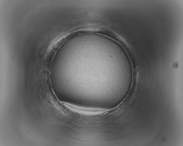 X0000115021448200911091432