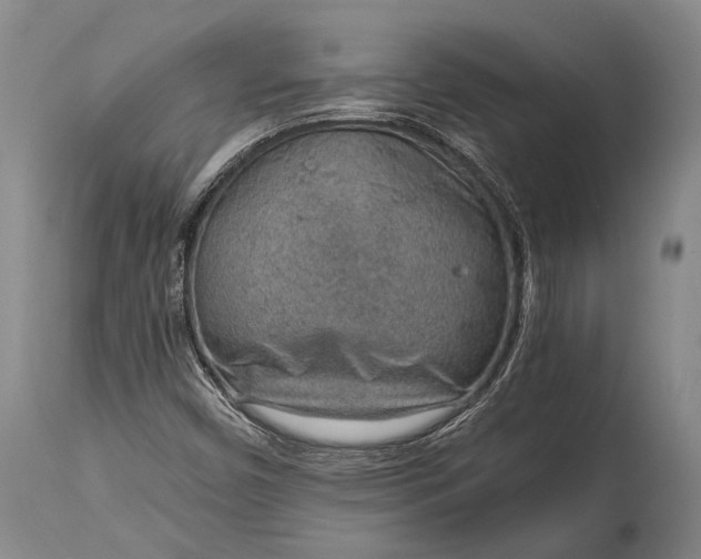 X0000115021450200911091432