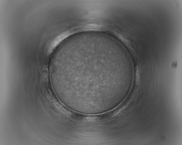 X0000115021453200911091432