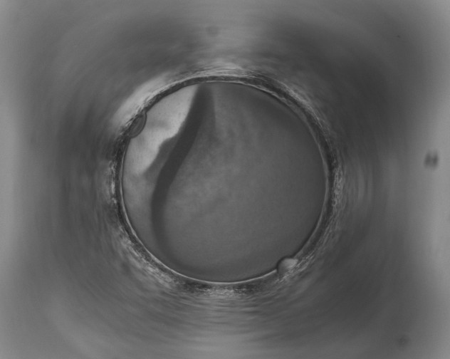 X0000115021455200911091432