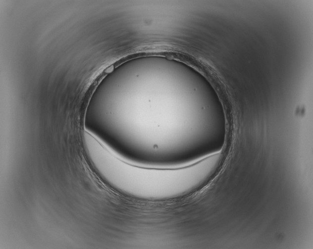 X0000115021457200911091432