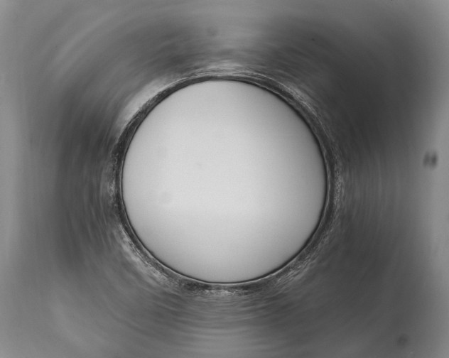 X0000115021458200911091432