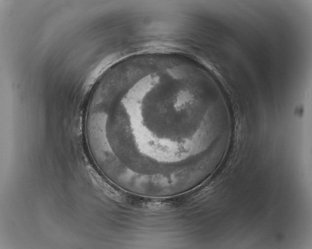 X0000115021459200911091432