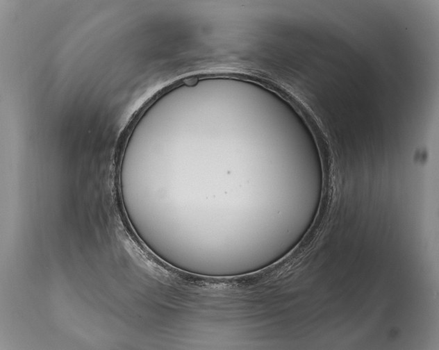 X0000115021460200911091432