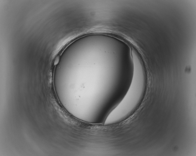 X0000115021461200911091432