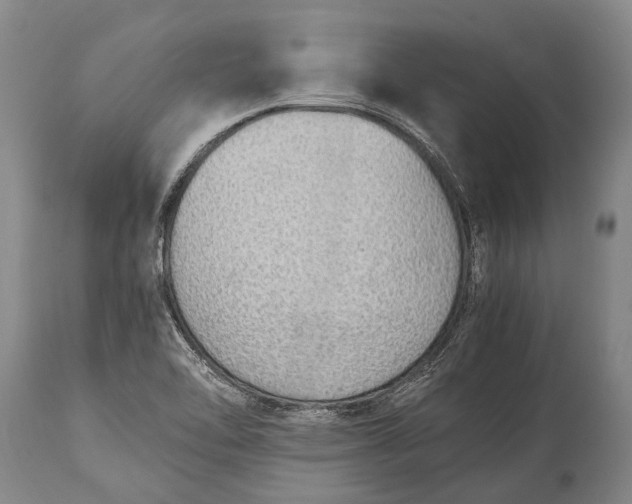 X0000115021462200911091432