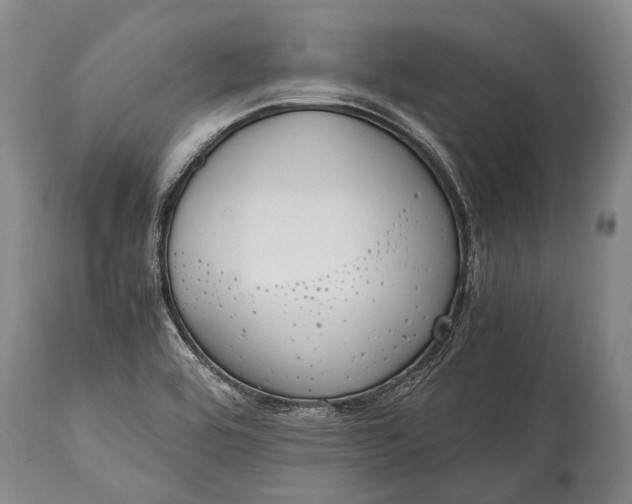 X0000115021464200911091432