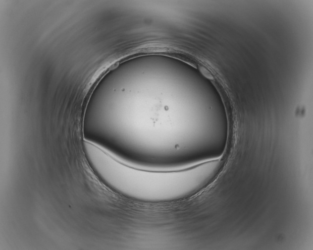 X0000115021465200911091432