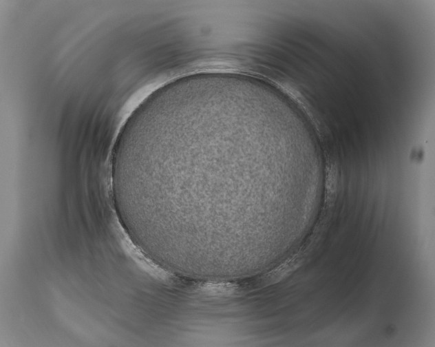 X0000115021466200911091432