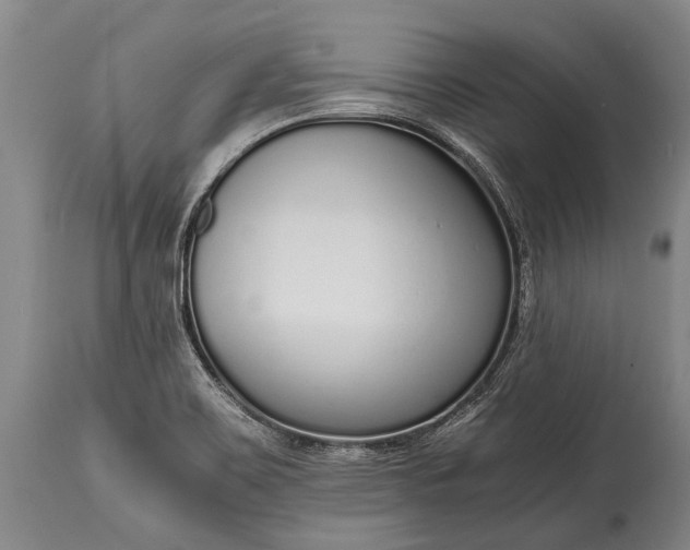 X0000115021467200911091432