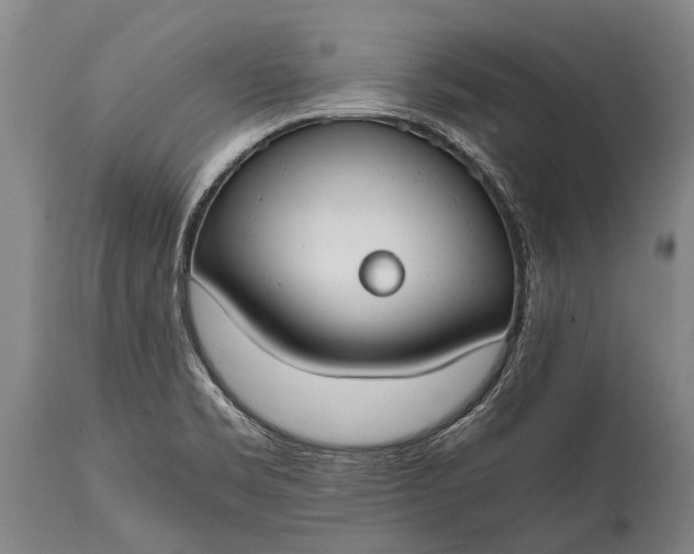 X0000115021469200911091432